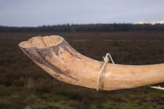 28-11-21-anbloazen-2